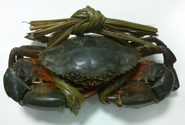 Cua có biết đau nhưng chúng ta không biết nỗi đau của chúng có giống con người không