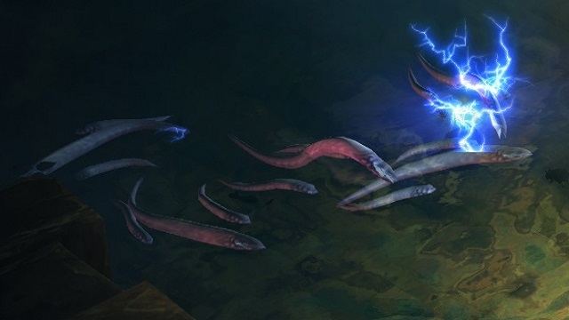 Lươn điện với khả năng phóng điện cực kỳ nguy hiểm 