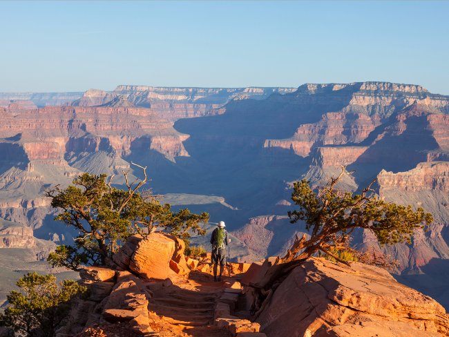 Chính vì vậy, công ty Amazon đã ra đời kể từ đó