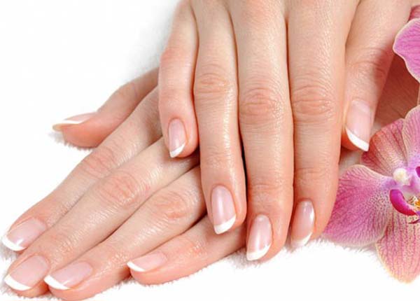 Những chiếc móng tay này là của khách hàng "hiến tặng" cho khách sạn. 