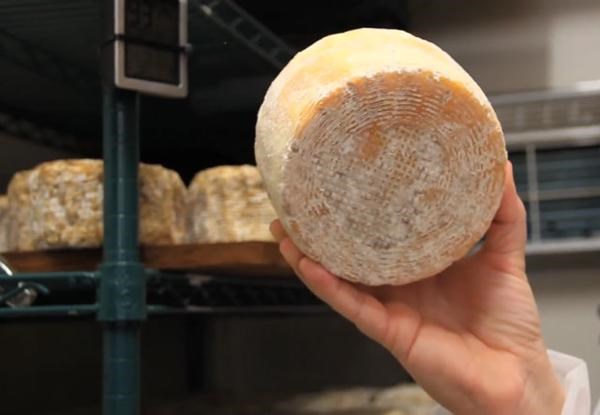 Phomai từ vi khuẩn của con người