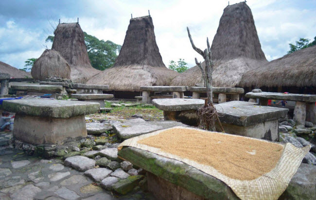 Để kéo các mộ đá về làng, hàng nghìn đàn ông phải làm việc trong suốt 1 năm