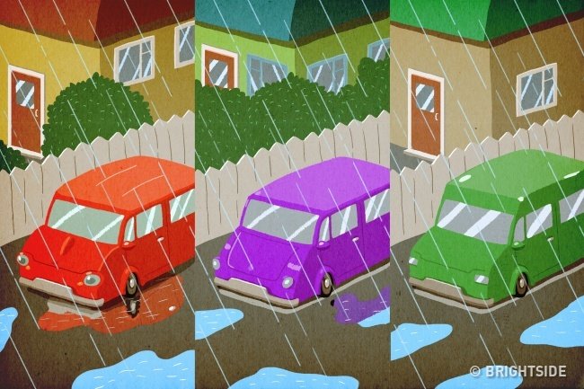 Người hàng xóm hay ăn cắp vặt