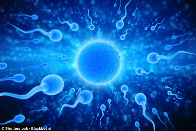 Hàng trăm tinh trùng đến được với trứng nhưng chỉ một tinh trùng giành chiến thắng để thụ thai