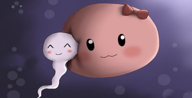 Để tạo ra 1 sinh linh bé nhỏ, tinh trùng và trứng cần có một cuộc gặp gỡ hoàn hảo