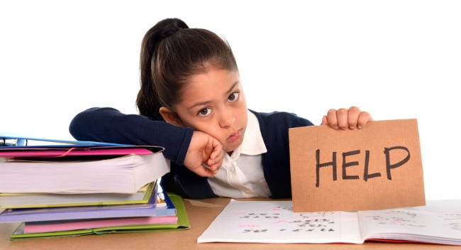 Chỉ học chứ không chơi