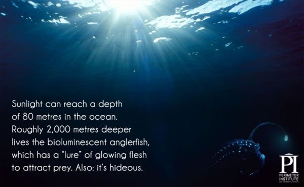 Ánh sáng có thể chiếu xuống sâu khoảng 80 mét nước biển