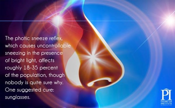 Khoảng 18%-35% người trên thế giới có phản xạ hắt xì khi bị chói mắt 