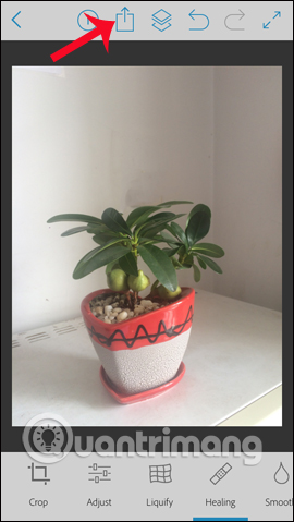 Tùy chọn hình ảnh