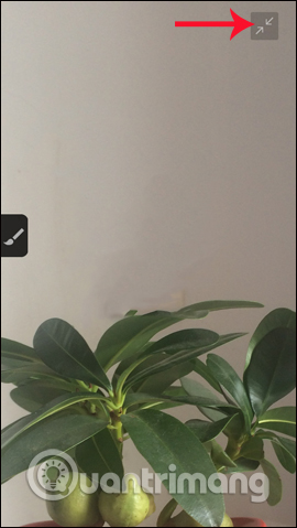 Phóng to hình ảnh 