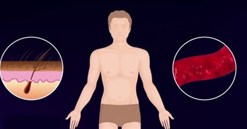 Cơ thể con người thay đổi trong suốt cuộc đời nhưng chỉ có một bộ phận không thay đổi, bạn biết đó là gì không?