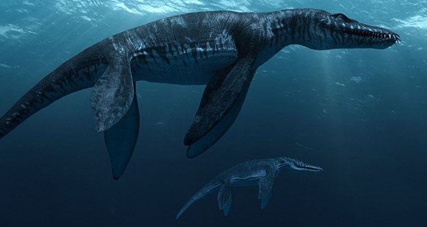 Liopleurodon là một chi thằn lằn cổ rắn