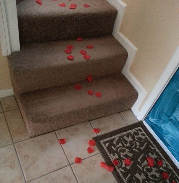 Lại còn làm trò lãng mạn nữa chứ!