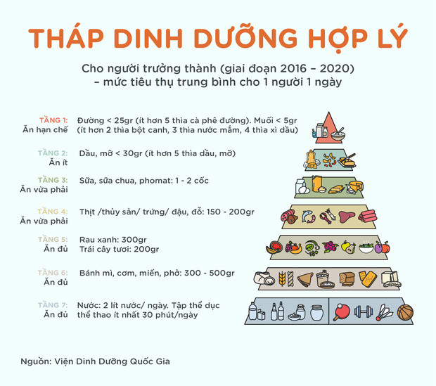 Tháp dinh dưỡng của chuyên gia 