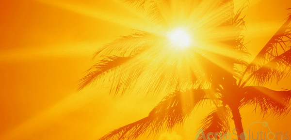 Thực tế, Trái Đất nằm ở điểm xa Mặt Trời nhất vào mùa hè 