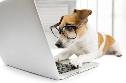 iOS có sức hút lớn khiến Google sẵn sàng trả tiền để được làm trình duyệt mặc định