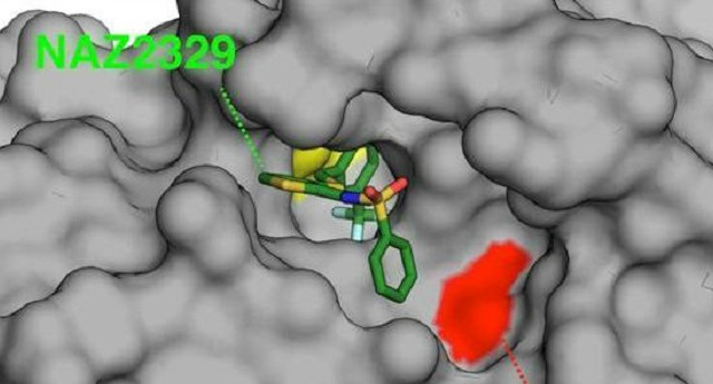 Các nhà khoa học xác định thụ thể mục tiêu để điều trị bệnh glioblastoma