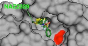 Các nhà khoa học xác định thụ thể mục tiêu để điều trị bệnh glioblastoma