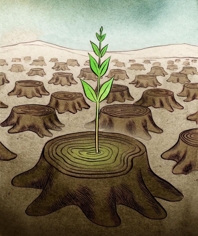 Một niềm hy vọng mới