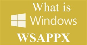 Đôi điều về Wsappx trong Windows