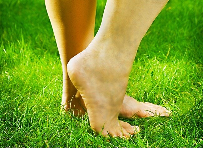 Chứng nghẽn mạch