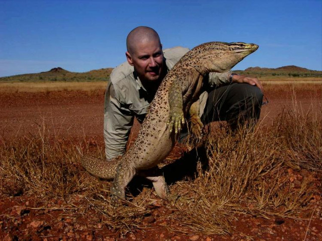 Nọc độc thằn lằn có thể mang lại bước đột phá trong điều trị đông máu