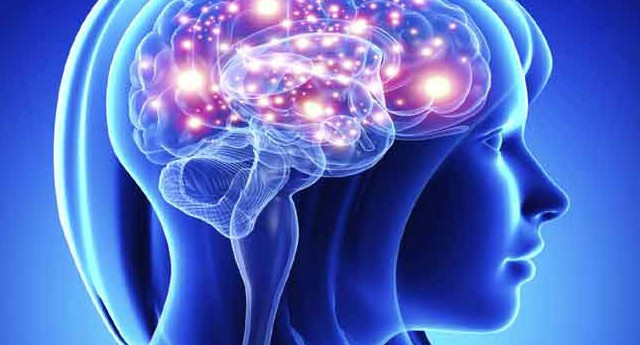 Phụ nữ có bộ não hoạt động mạnh mẽ hơn nam giới