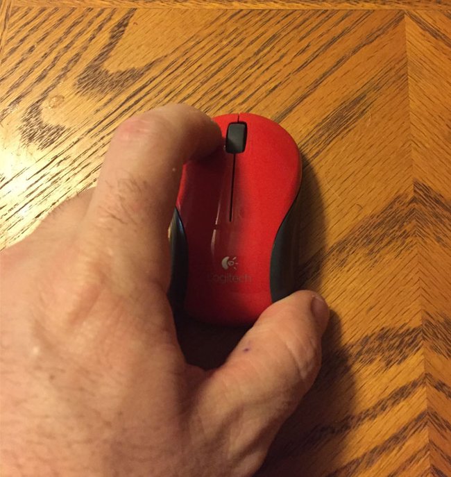 "Con chuột đáng ghét!"