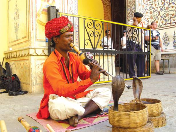 Bộ tộc sống bằng nghề thôi miên rắn hổ mang