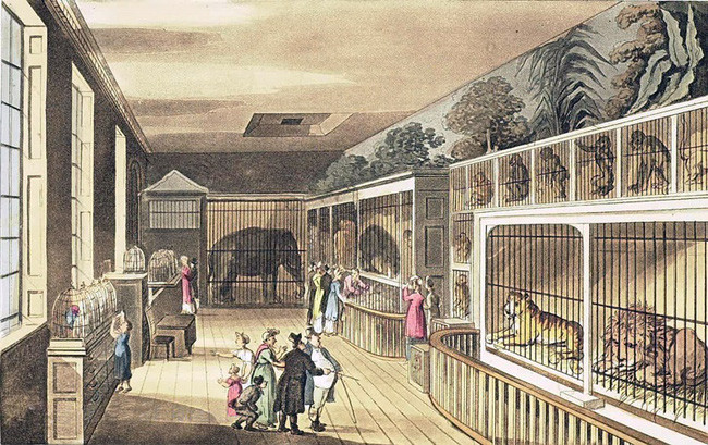 Chó, mèo trở thành thức ăn cho thú dữ 