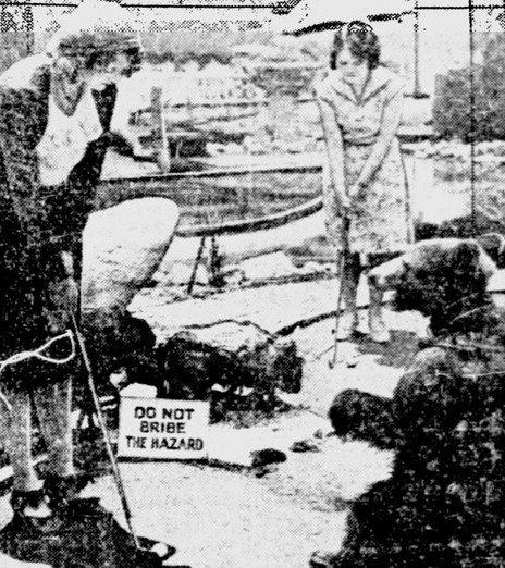 Chơi golf cùng... Gấu