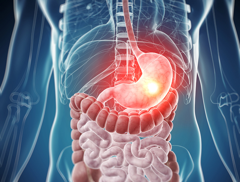 Diện tích bề mặt của ruột là 200m2