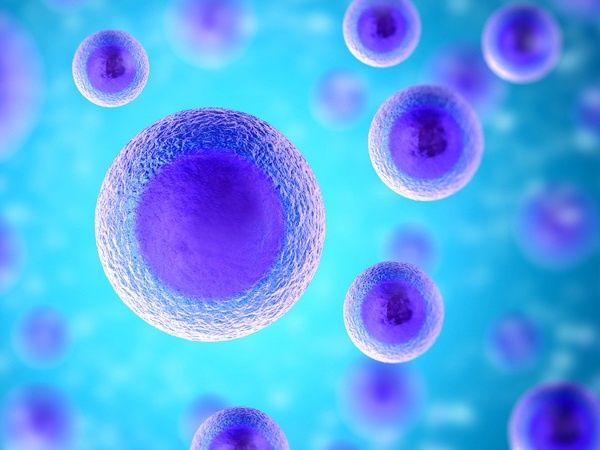 Mỗi giây trôi qua lại có 15 triệu tế bào máu bị tiêu huỷ trong cơ thể con người