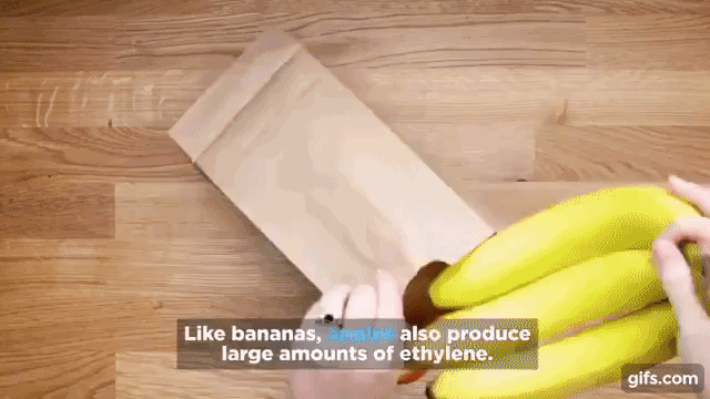 Cho táo vào túi để giúp chuối nhanh chín 