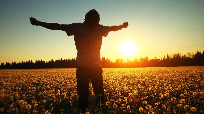 Làm việc chăm chỉ