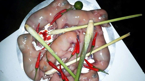 Người ăn sẽ nhúng những con chuột vẫn còn sống nguyên và ngoe nguẩy đó vào một loại nước sốt được chế biến đặc biệt và thưởng thức 