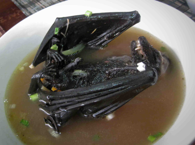 Nguyên cả một con dơi đã được sơ chế để loại bỏ mùi tanh và qua tẩm ướp sẽ được bỏ trọn vào tô súp bổ dưỡng cho thực khách 