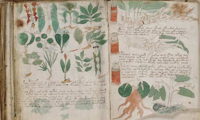 Voynich được coi là "bản thảo bí ẩn nhất thế giới" bởi nó được viết bằng một ngôn ngữ bí ẩn và vô số những hình minh họa, biểu đồ kỳ lạ