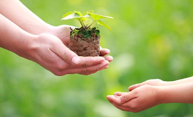 Khi hết tiền, không cầu người giàu