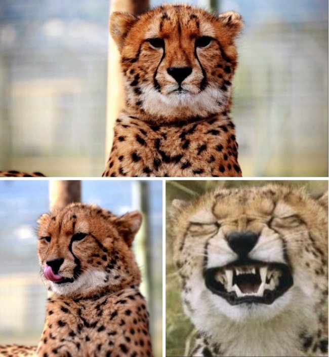 Ngay bây giờ trên Snapchat.