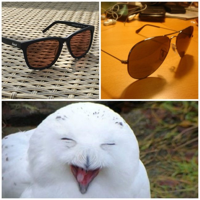 Sự lựa chọn không phụ thuộc vào thời gian trong năm.