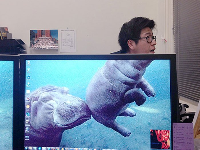 Không có việc gì làm thì tự lấy mình ra làm trò cười cho mọi người vậy.