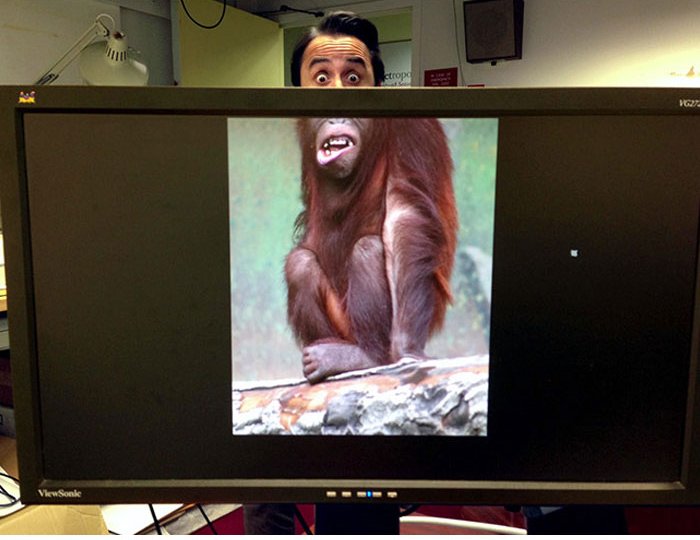 Lấy mình ra làm trò cười cho mọi người vậy.