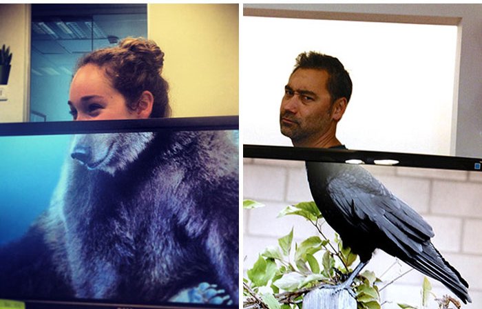 Làm trò cười cho mọi người