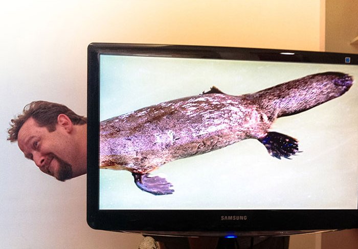 Làm trò rảnh rỗi