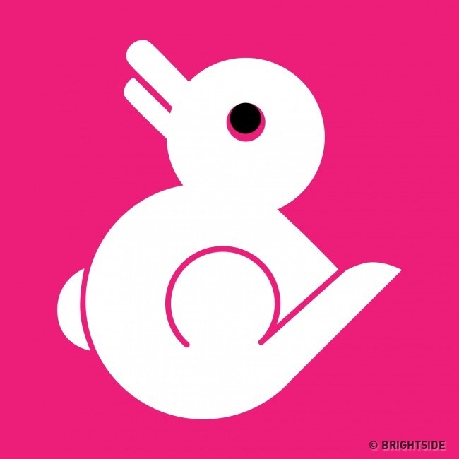 Con thỏ hay con vịt?