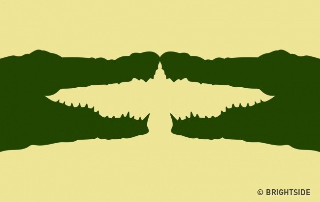 Hai con cá sấu hay một con chim?