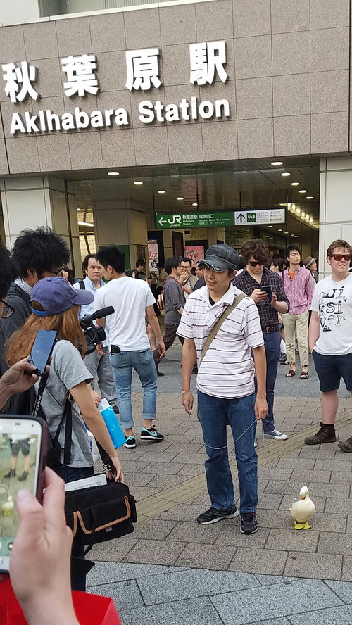 Thú cưng Nhật Bản 