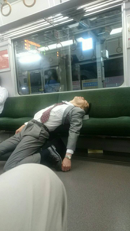 Ngủ khắp mọi nơi 