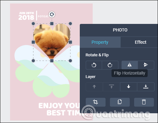 Chỉnh ảnh cơ bản